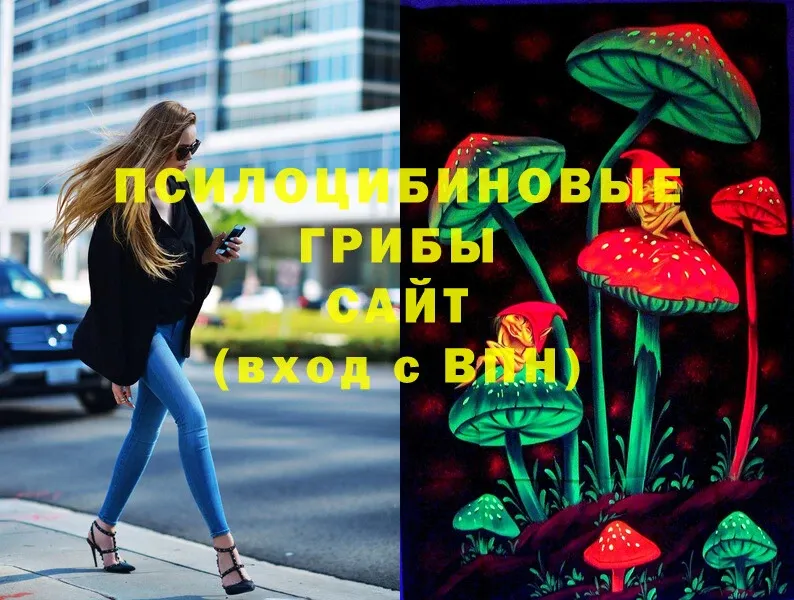 Галлюциногенные грибы Psilocybe  Пермь 