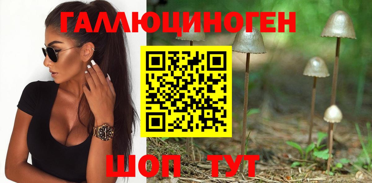 Псилоцибиновые грибы Magic Shrooms Пермь